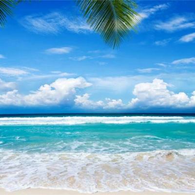 美国据悉在评估油价每桶200美元的极端情境 但白宫否认