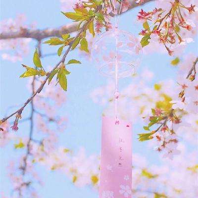 许家印说到做到! 恒大为暴力鸟替身开出队史最高年薪